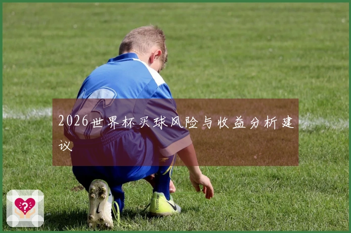 2026世界杯买球风险与收益分析建议