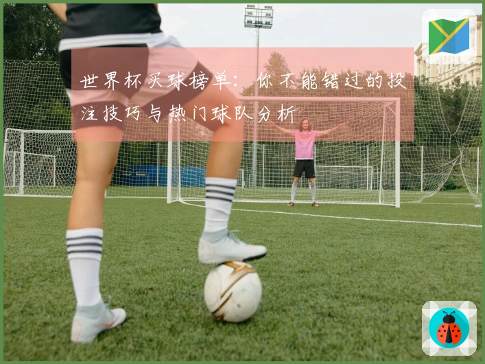 世界杯买球榜单：你不能错过的投注技巧与热门球队分析