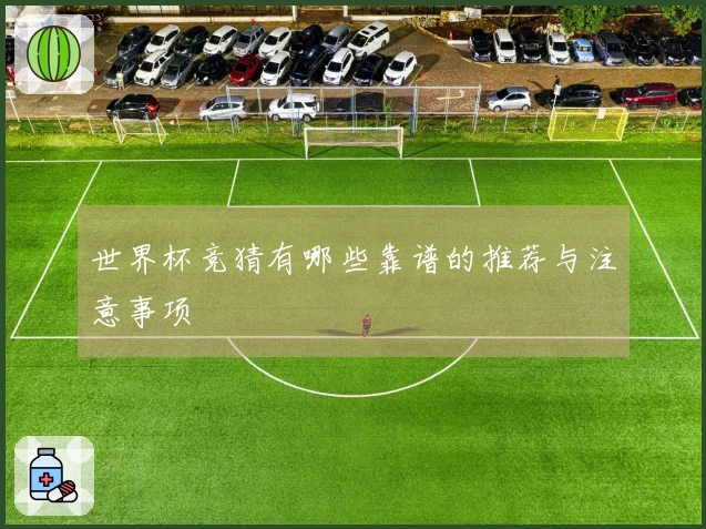 世界杯竞猜有哪些靠谱的推荐与注意事项