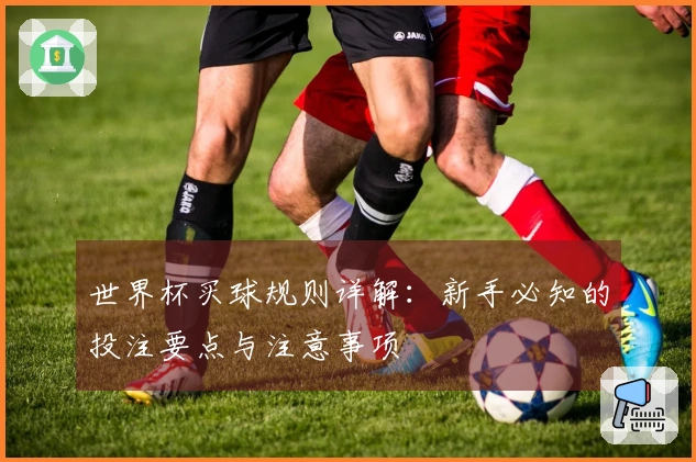 世界杯买球规则详解：新手必知的投注要点与注意事项