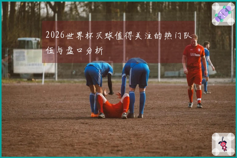 2026世界杯买球值得关注的热门队伍与盘口分析