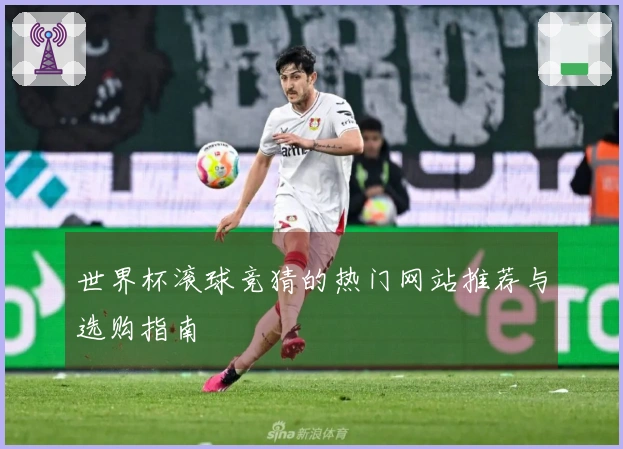 世界杯滚球竞猜的热门网站推荐与选购指南