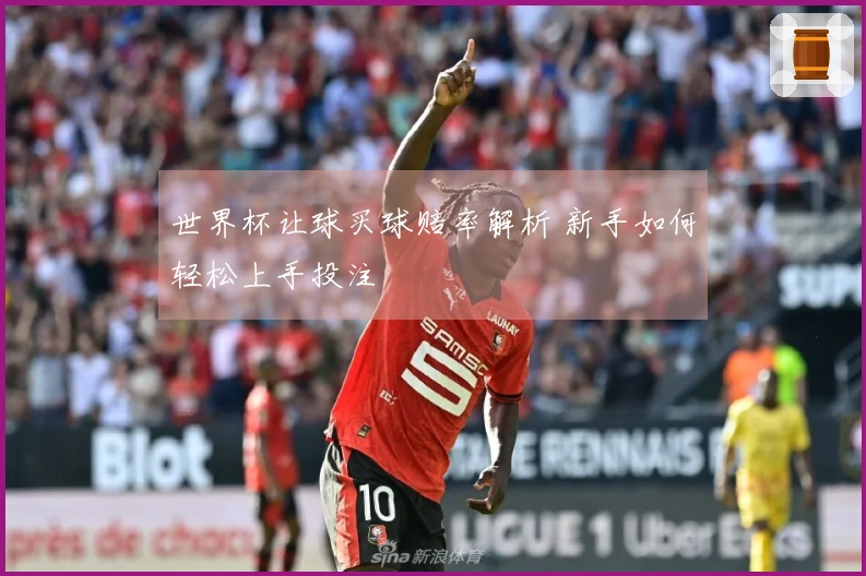 世界杯让球买球赔率解析 新手如何轻松上手投注